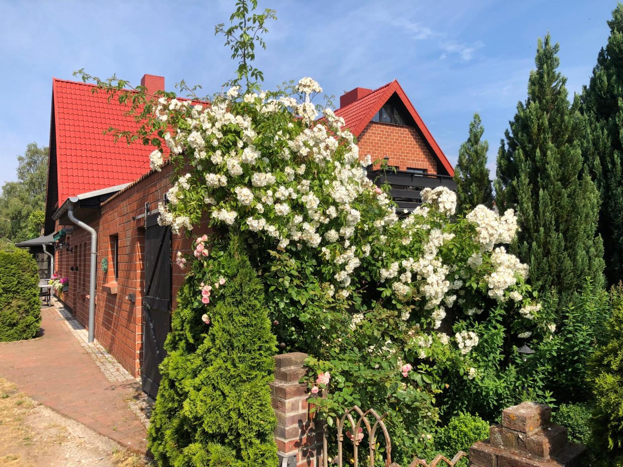Landhaus Schlunt Wustrow  Exterior foto